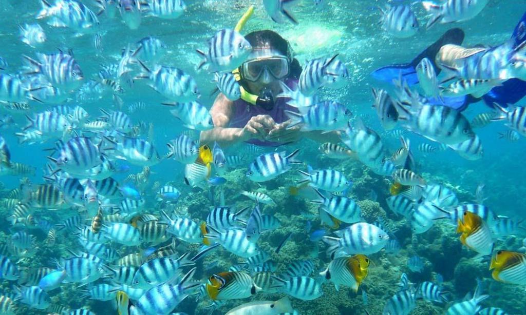 Seribu Resort Thousand Island Kepulauan Seribu Zewnętrze zdjęcie